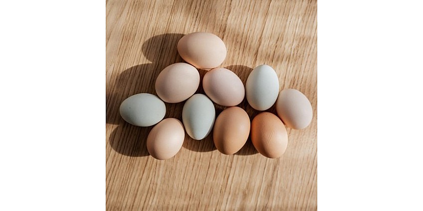 Кому опасно есть яйца в большом количестве: эту норму превышать не следует