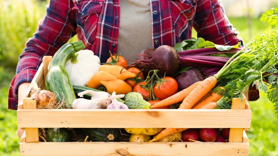 Топ-6 самых полезных овощей. Здоровье на прилавках супермаркета.